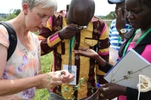 Assessing a population in Uganda on the CWR training course.