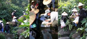 Putting theory into practice  fieldwork in the Ba Vi Mountains National Park: negotiating the terrain; making a herbarium voucher; collecting target species.