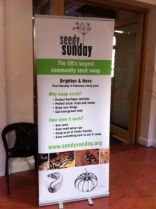 Seedy Sunday Poster