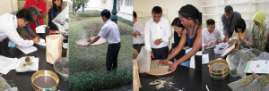 Seed cleaning at the Plant Resources Center, Hanoi