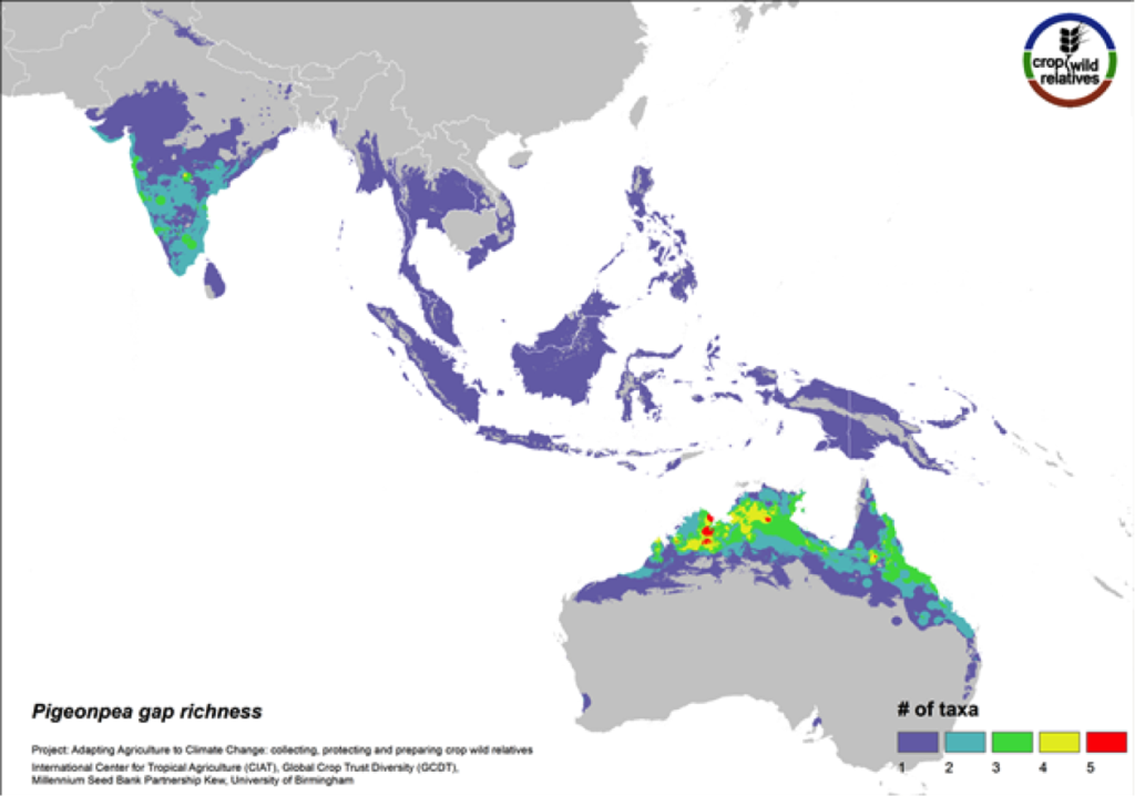 Pigeonpea is consumed both as a vegetable and a pulse in many semi-arid tropical and subtropical regions worldwide, particularly in India and East Africa. Pigeonpea’s 16 CWR are distributed in highest concentration in South Asia and in tropical northern Australia. These same regions are identified as in need of urgent collection (Fig. 10). 80% of the genepool is considered high priority for collecting.