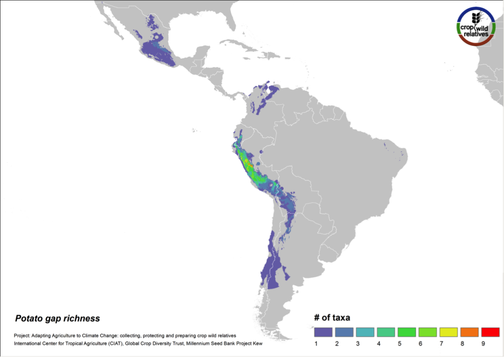 The 79 species related to potato are found in highest concentration in the central and northern Andes and in central Mexico. Collecting gaps persist throughout the geographic range of the genepool, but the 32 high priority species for collecting are concentrated in the north-central Andes, particularly in Peru (Fig. 9).