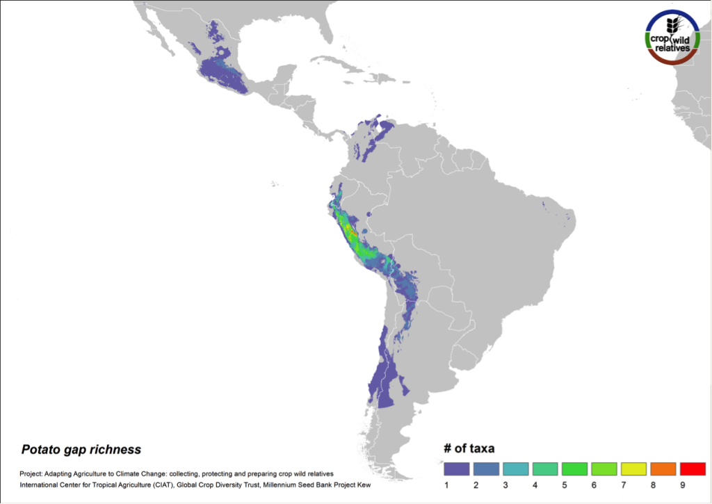 The 79 species related to potato are found in highest concentration in the central and northern Andes and in central Mexico. Collecting gaps persist throughout the geographic range of the genepool, but the 29 high priority species for collecting are concentrated in the north-central Andes, particularly in Peru (Fig. 9).