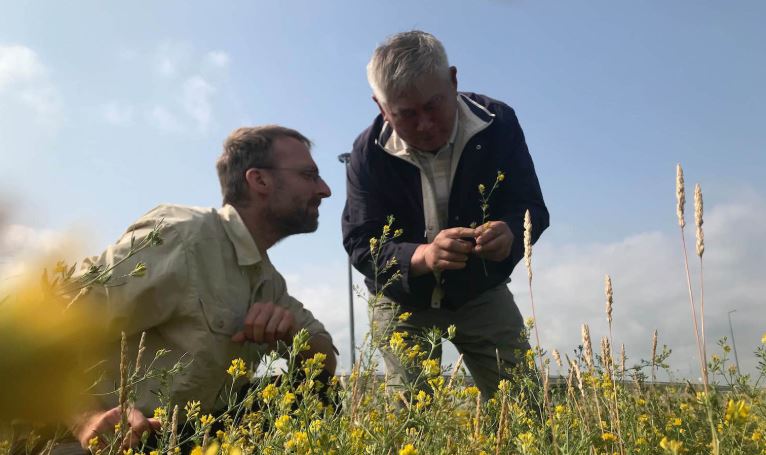 Researchers in Kazakhstan and China work directly with farmers to test resilient alfalfa. “Our focus is to improve the lives of smallholder farmers,” says Luis Salazar.