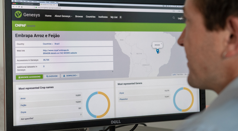 EMBRAPA data on Genesys