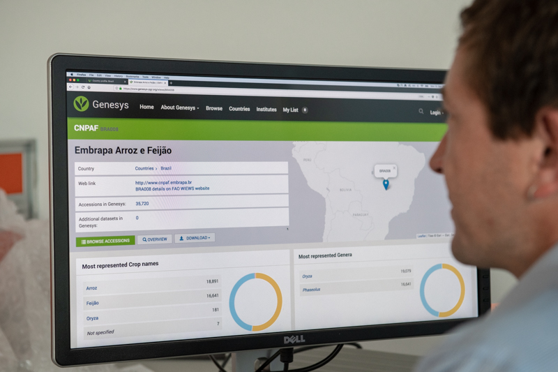 EMBRAPA data on Genesys