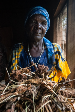 Farmer Mary Kwena Two of Kakamega County shows off a handful of her recently harvested finger millet. She first started growing finger millet after learning from Mary One, her co-wife, who participated on a pilot project led by Dr. Chrispus Oduori. Both Marys have continued to grow the crop long after the project ended. Photo: Michael Major/Crop Trust