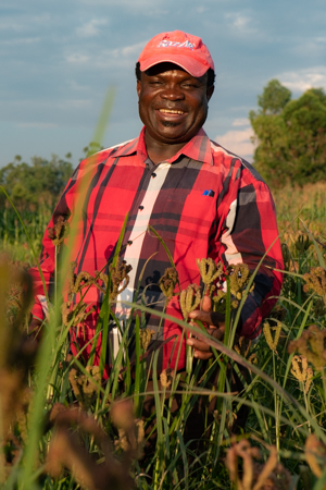 Dr. Chrispus Oduori grew up in Western Kenya eating ugali, an African dish made of finger millet flour, cooked in boiling water (or milk) to a dough-like consistency. He has spent a lifetime breeding and promoting the crop. Photo: Michael Major/Crop Trust